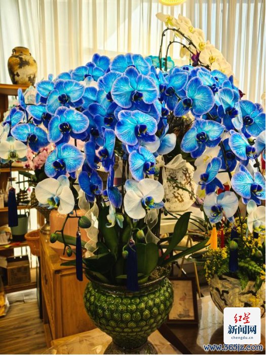 花会1