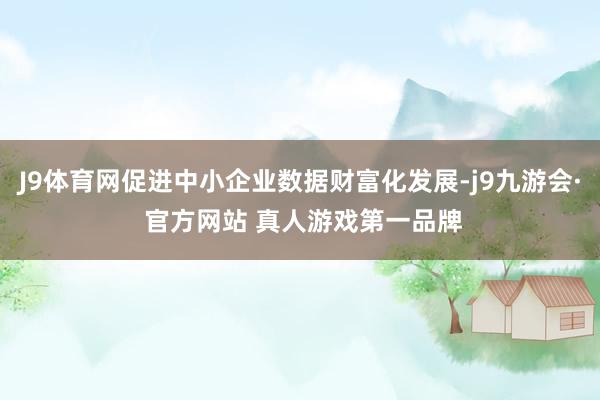 J9体育网促进中小企业数据财富化发展-j9九游会· 官方网站 真人游戏第一品牌